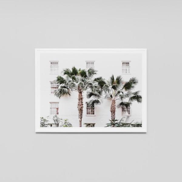 Palm Resort Framed Print