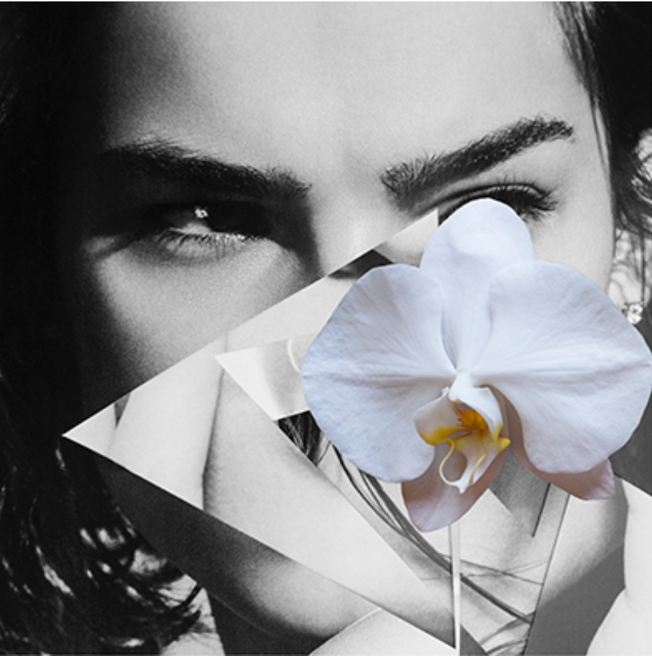 Ambiguous Beauty No 13.