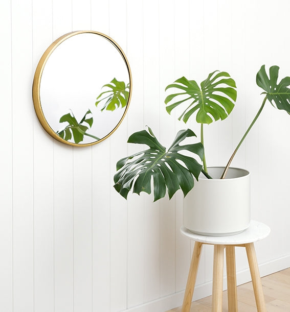 Bella Round Brass - Assorted Sizes