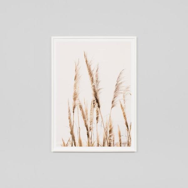 Pampas Sky Framed Print