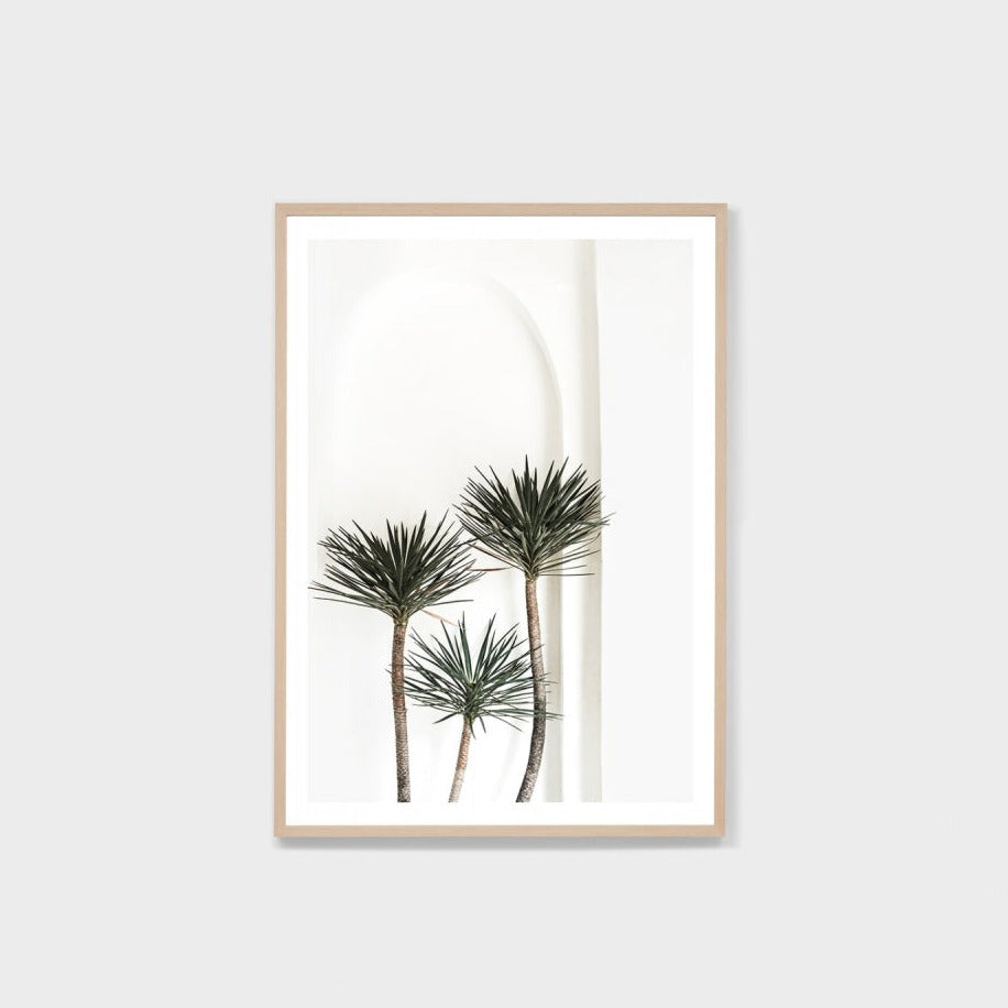 Yucca Archway Framed Print