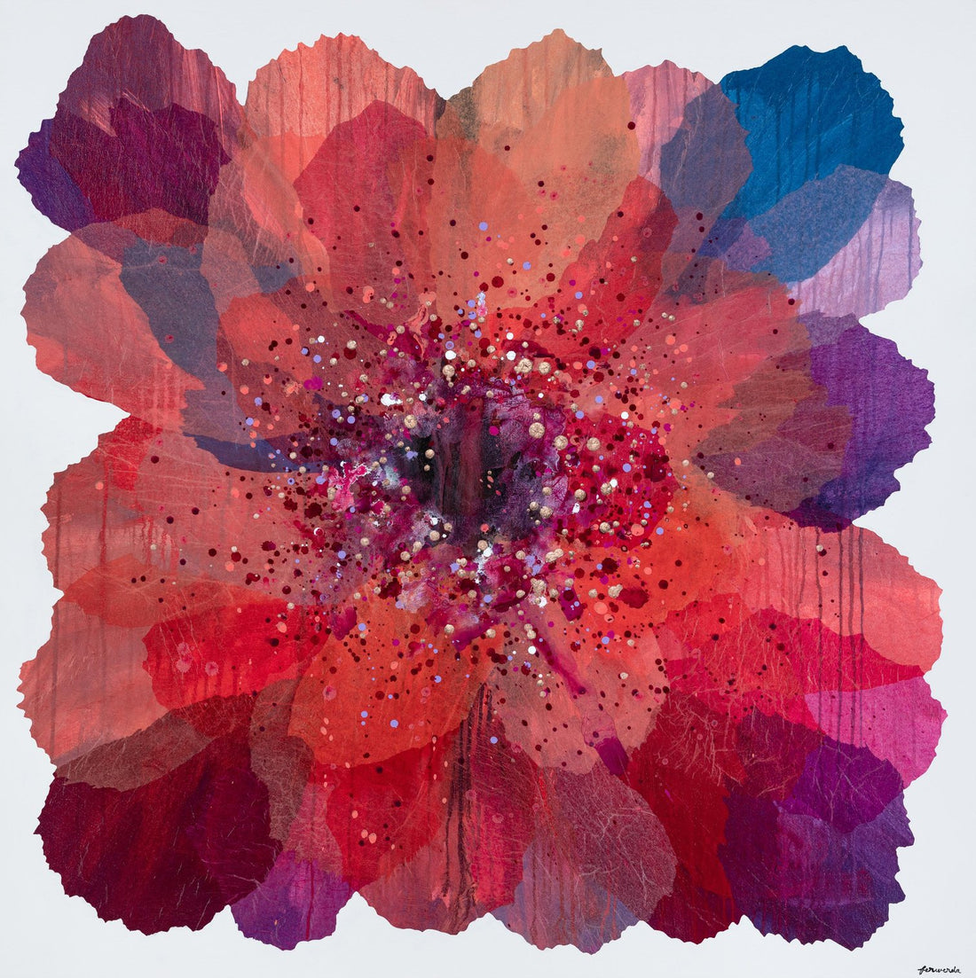 Coral Paper Daisy