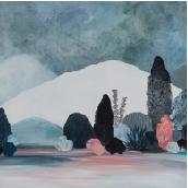 Saltus Montem -  Limited edition Canvas Print