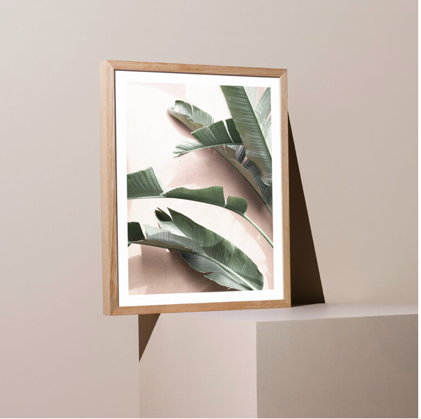 Sunbleached Palms Framed Print