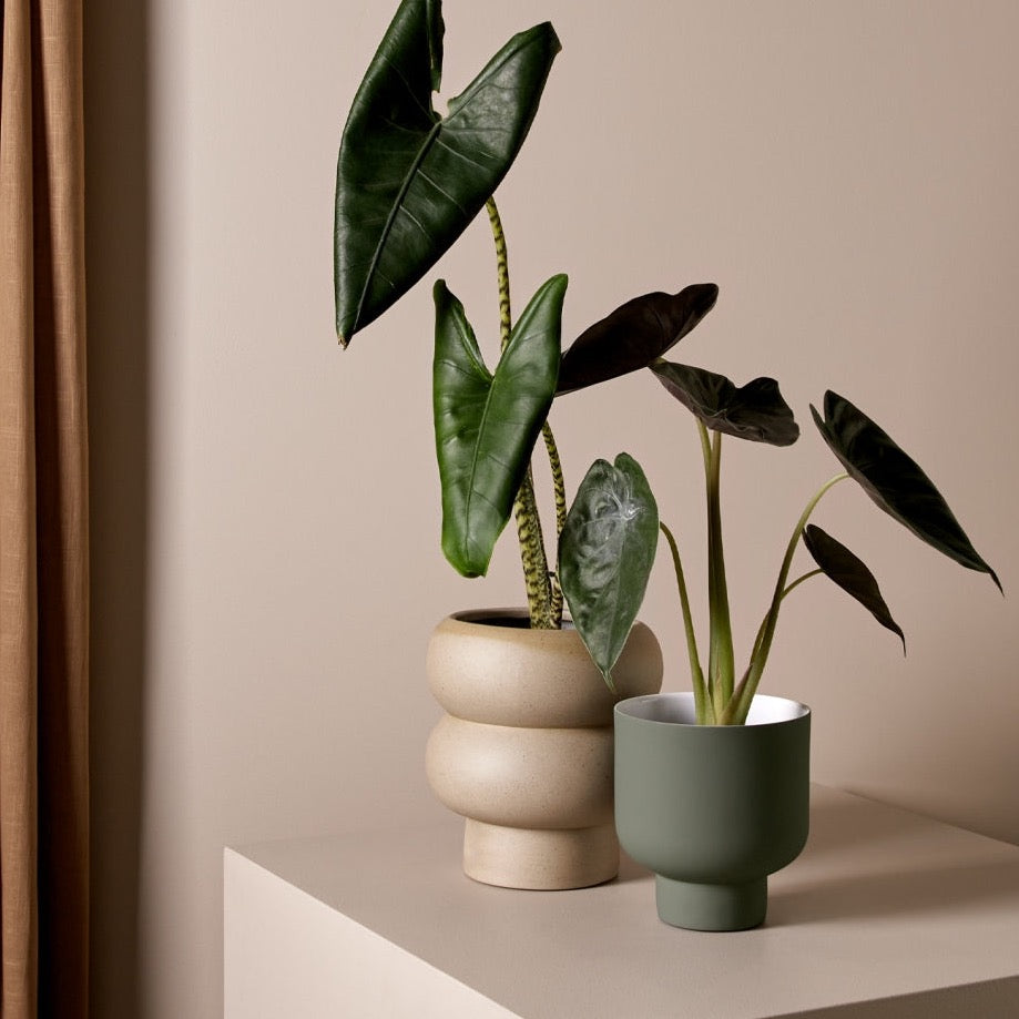 Billie Planter  Dune- Assorted sizes