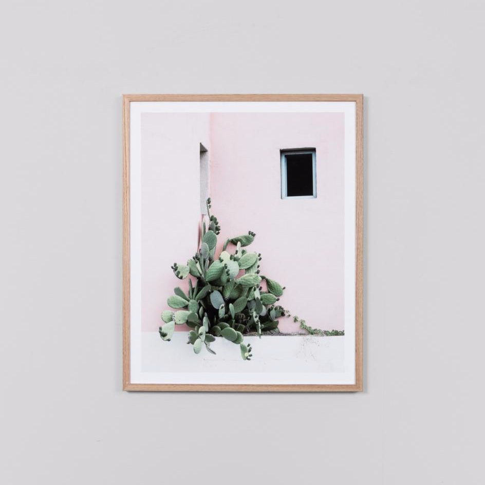 Cactus Corner Framed Print