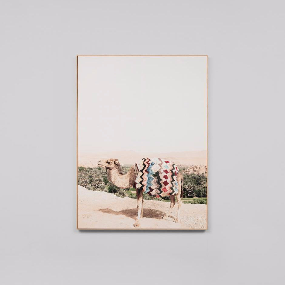 Desert Camel Framed Canvas