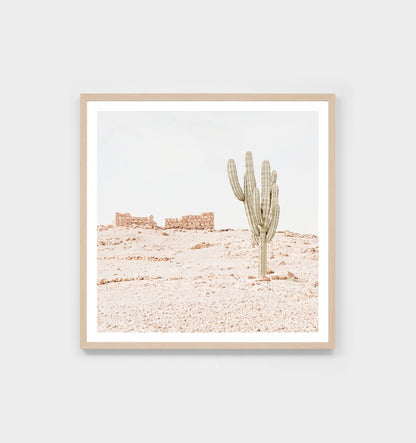 Desert Outlook Framed Print