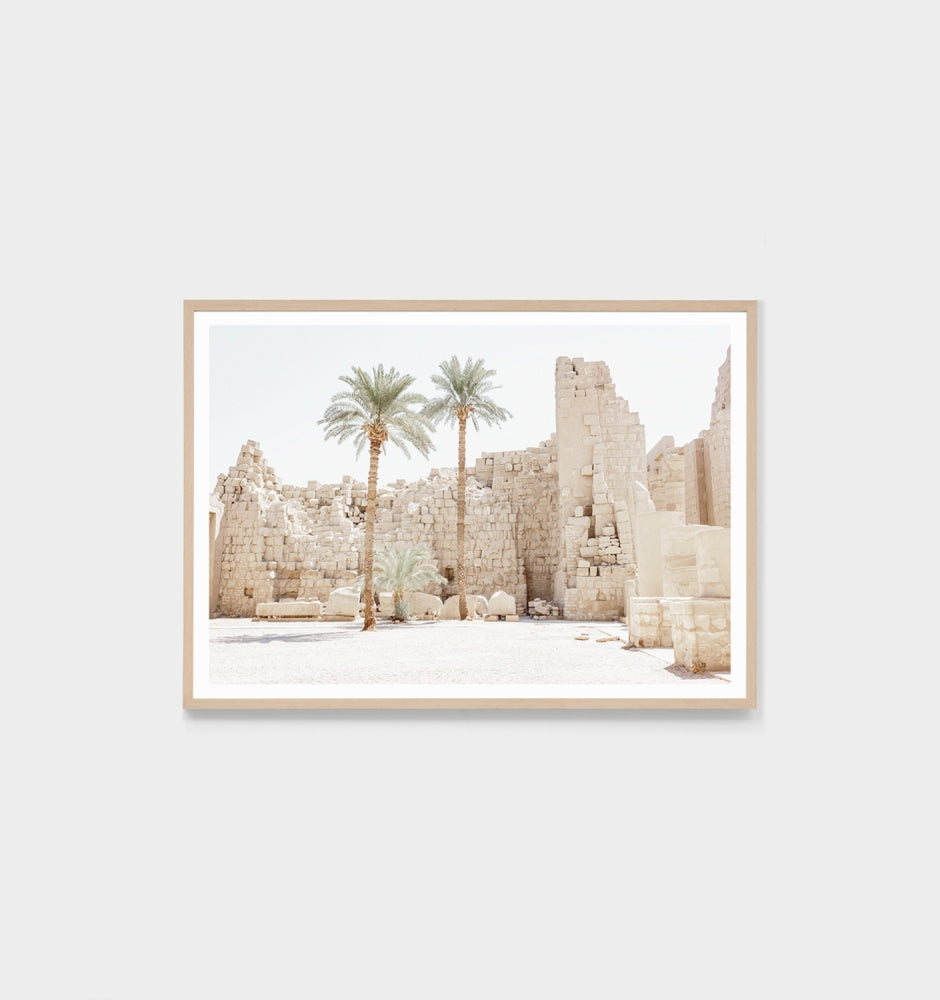 Egyptian Ruins Framed Print