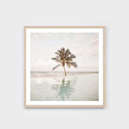 Poolside Palm Framed Print
