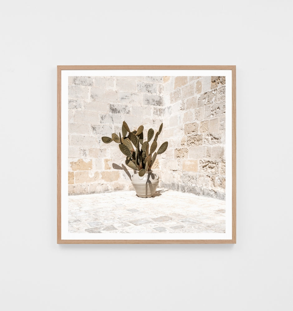 Rustic Courtyard Framed Print