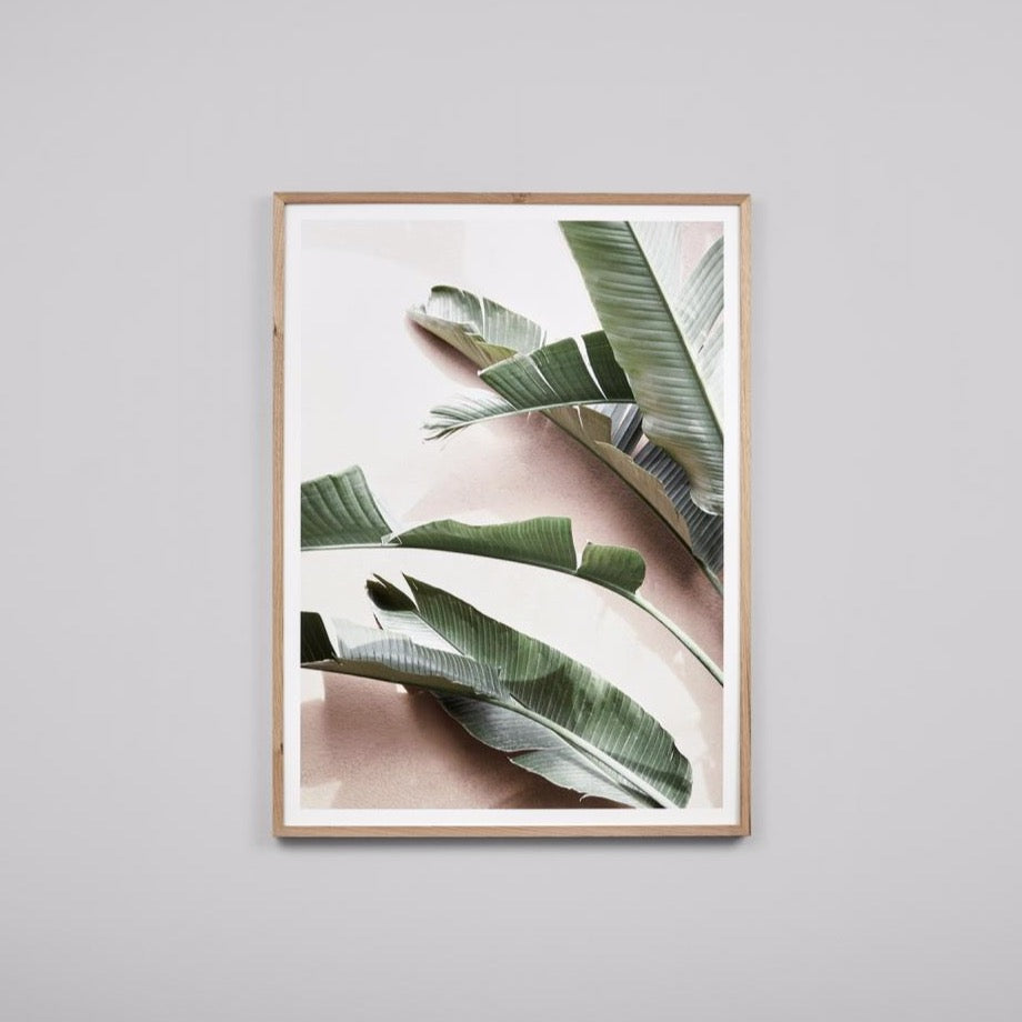 Sunbleached Palms Framed Print